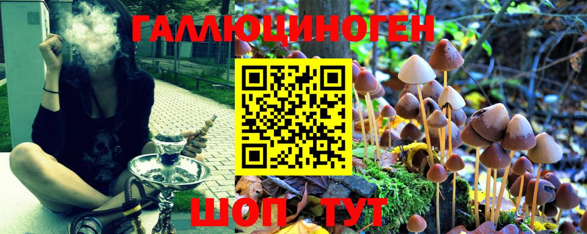 Псилоцибиновые грибы ЛСД  Вход с VPN  продажа наркотиков  Щёлково 